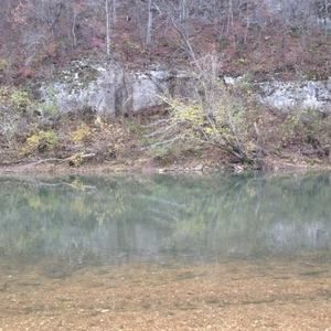 Meet your Posher, Debra